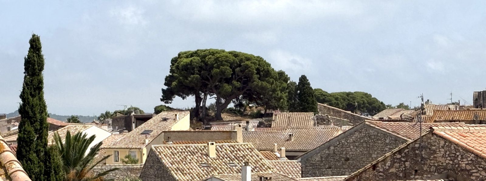 Vy över tegeltak och tallar i en by i Languedoc